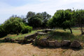 D300_47316.jpg