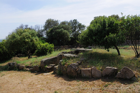 D300_47316.jpg