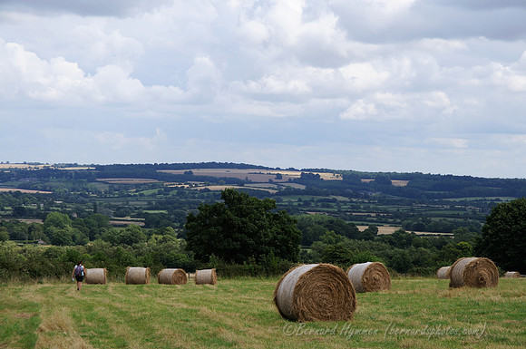 D300_99848