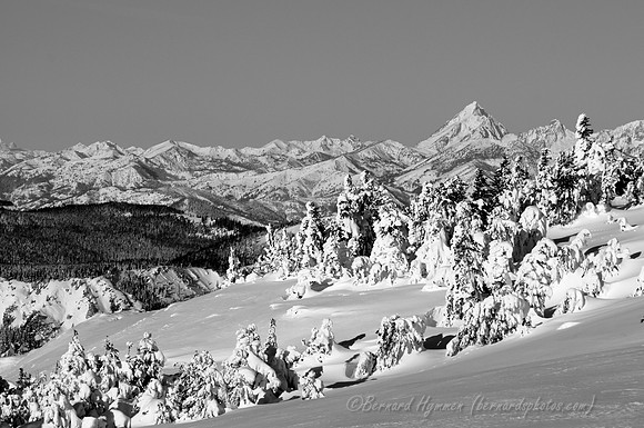 D300_59666