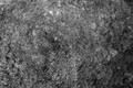AW1_91235