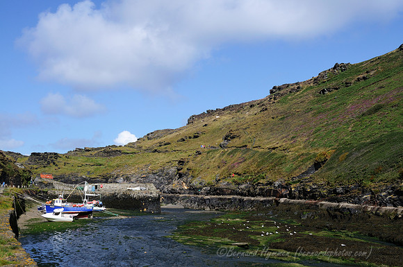 D300_100769