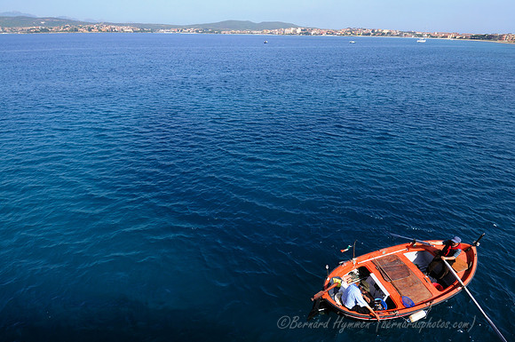 D300_46661.jpg