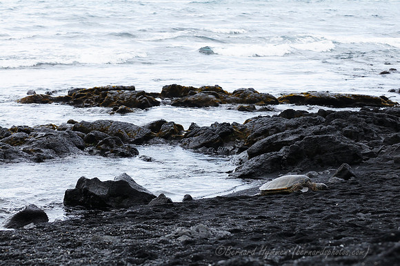 D300_92374