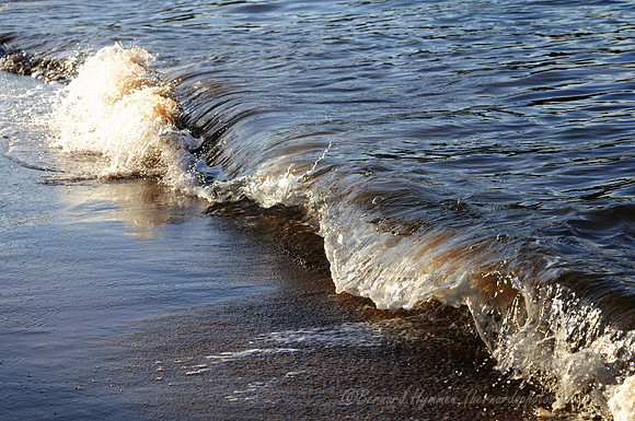 D300_57829