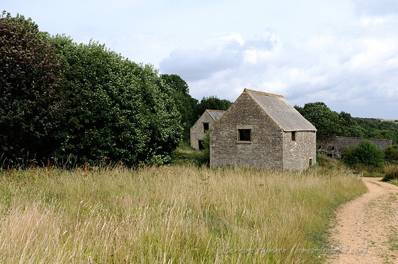D300_99048