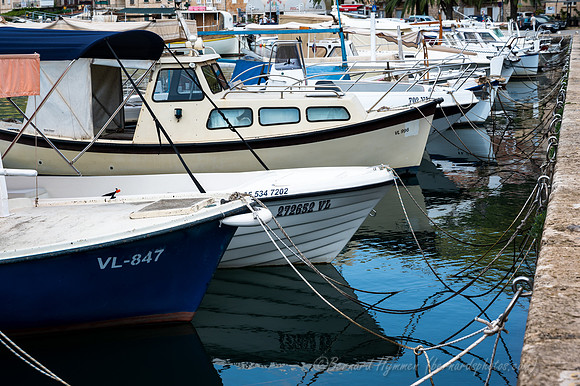 Z6_176253
