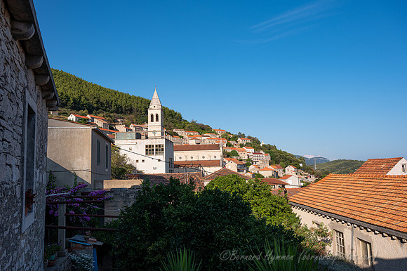 Z6_176284