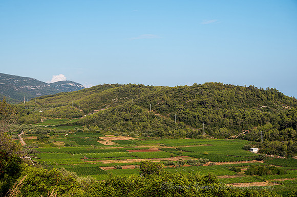 Z6_176288