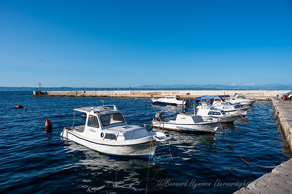 Z6_176333