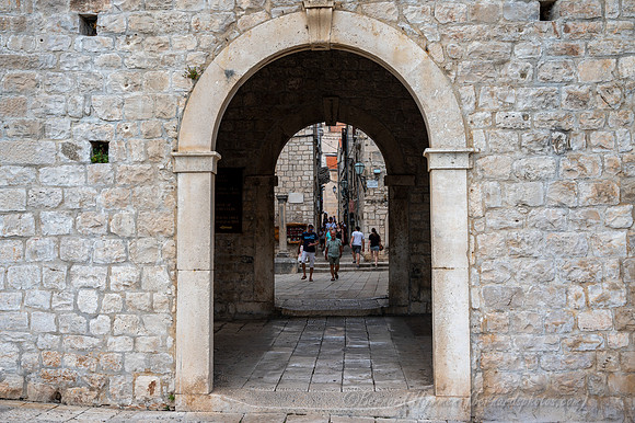 Z6_176446