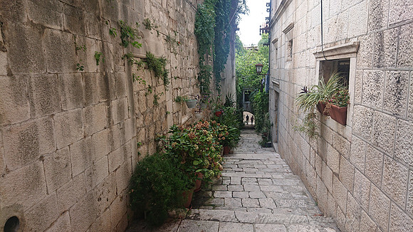 DSC_5901 1