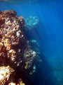 SD800_58600