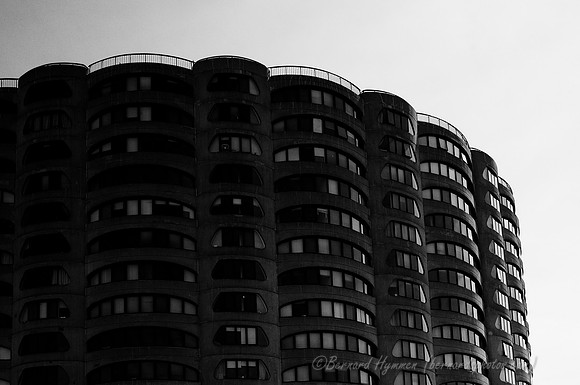 D300_64373