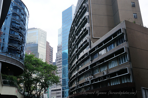 D300_70894
