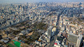 PXL_20260124_045604365.ACTION_PAN-01.COVER