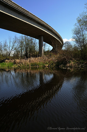 D300_71719
