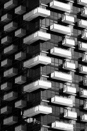 D300_64389