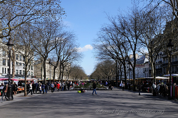 D300_85783