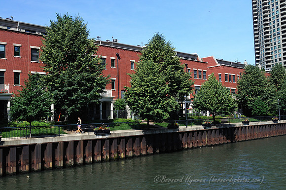 D300_64316