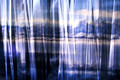 D300_63357