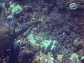 SD800_58108