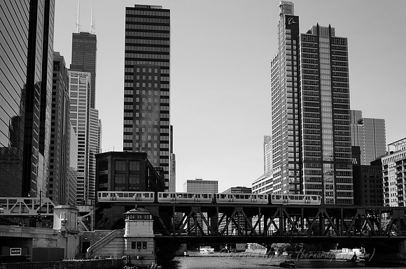 D300_64307