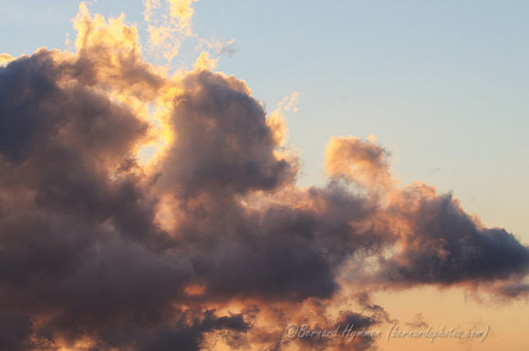 D300_92219