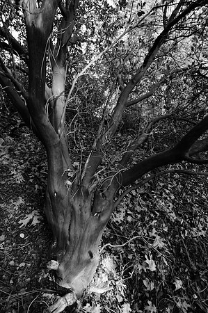 D300_32129
