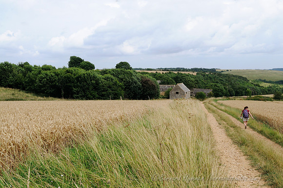 D300_99045