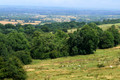 D300_99404