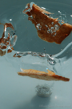 D70_20679
