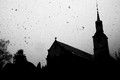 D300_84576