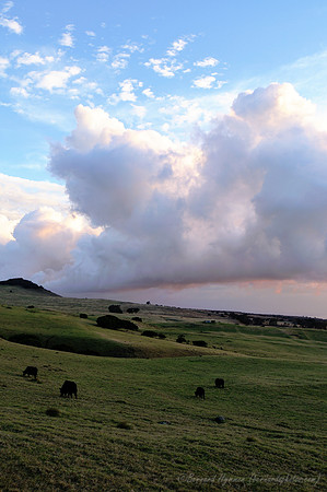 D300_92207