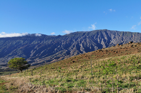 D300_58557