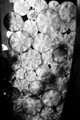 D300_64614