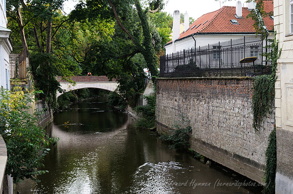 D300_74175