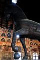 D300_47511.jpg