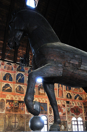 D300_47511.jpg