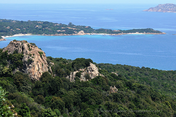 D300_45891.jpg