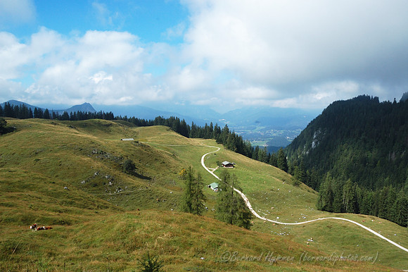 D70_18453