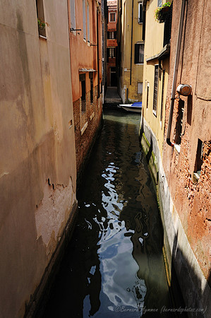 D300_44456.jpg