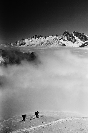 D300_84371