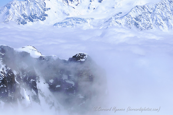 D300_84382