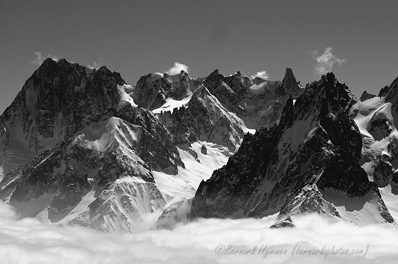 D300_84386