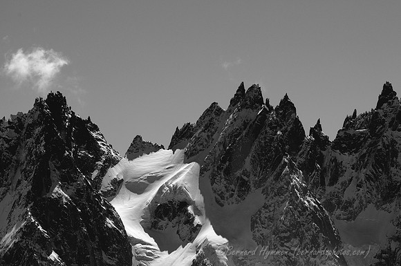 D300_84396