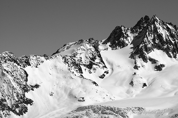 D300_84397