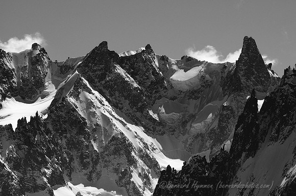 D300_84416