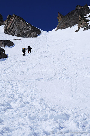 D300_84431