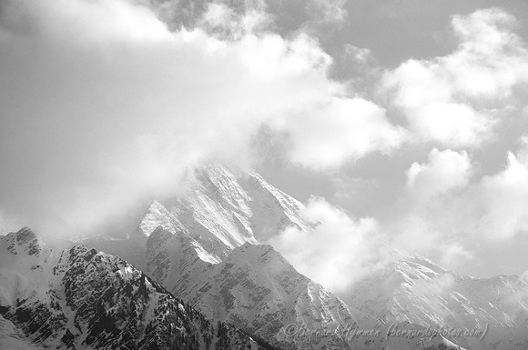D300_84501